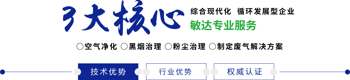 国产无码操逼逼敏达环保科技（嘉兴）有限公司